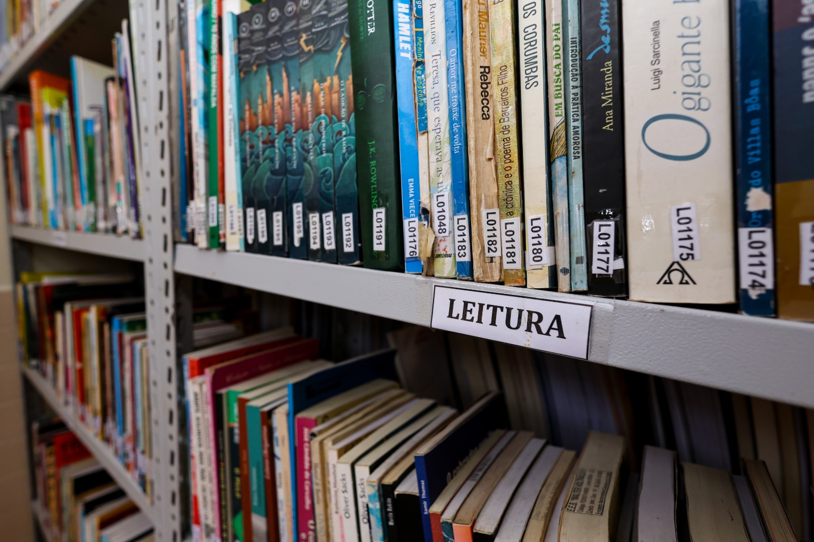 Bibliotecários