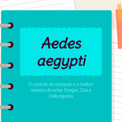 Imagem Aedes-aegypti-editado-sem logo